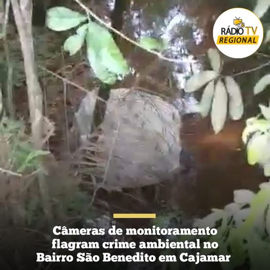 #regional | Câmeras de monitoramento flagram crime ambiental no Bairro São Benedito em Cajamar